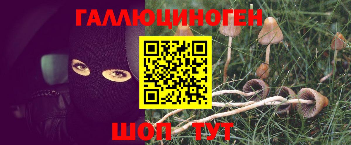 Псилоцибиновые грибы ЛСД Симферополь